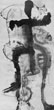 n11